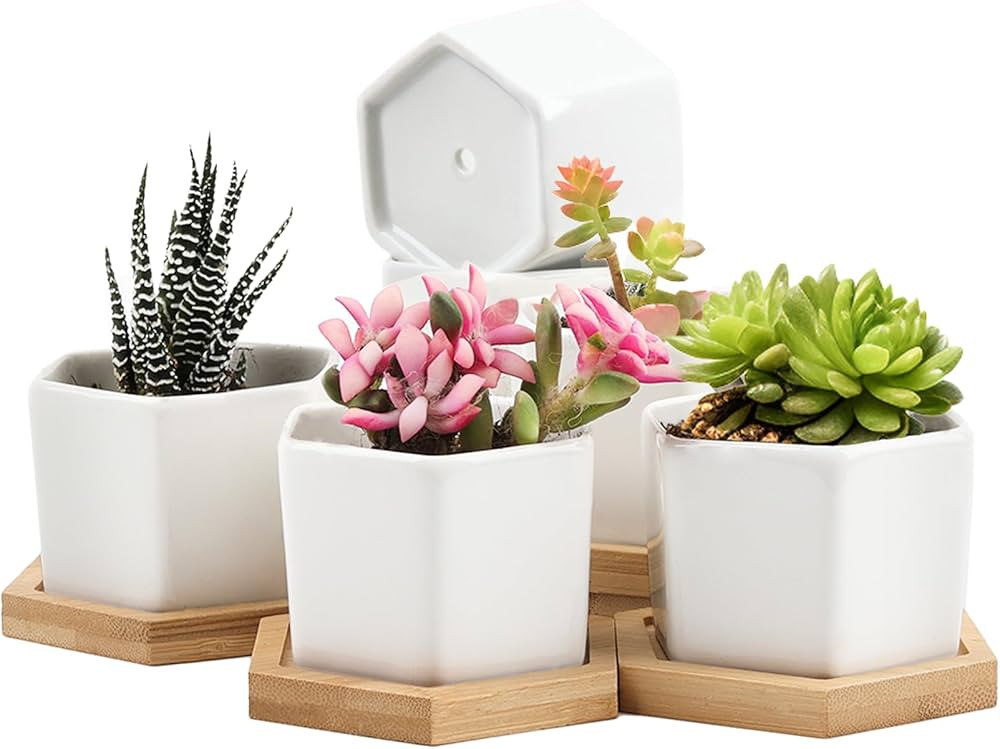 Amazon.com: T4U 2 Inch Small White Succulent Planter Pots with Bamboo Tray Square Set of 12, Cera... | Amazon (US)