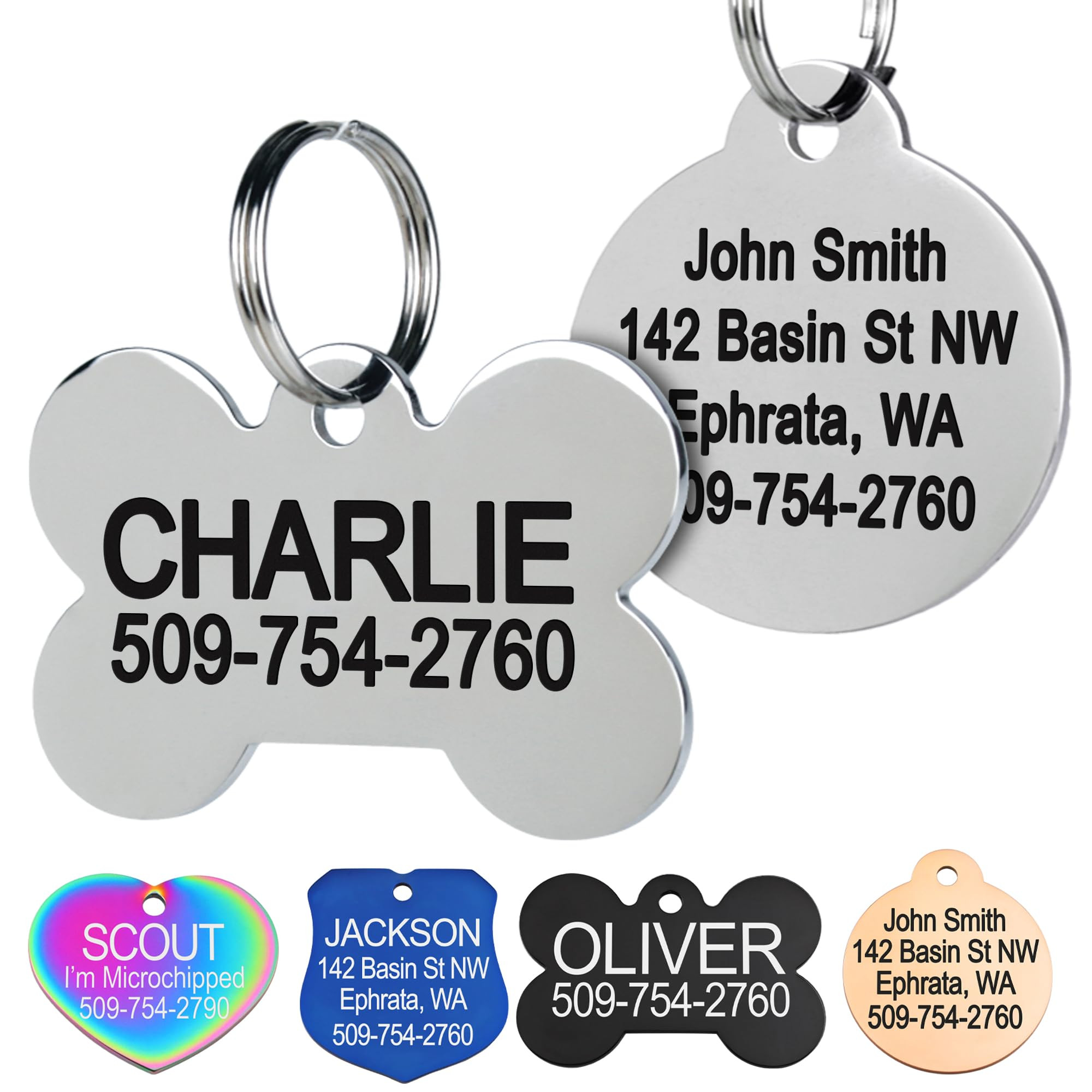 GoTags Stainless Steel Pet ID Tags, Personalized Dog Tags and Cat Tags, up to 8 Lines of Custom T... | Amazon (US)