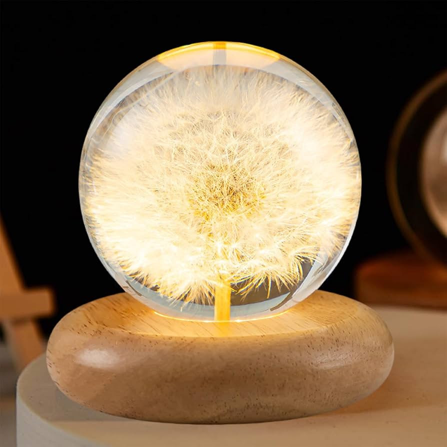 Dandelion Ball Night Light, 2.76 inch Ball Night Lamp with Wooden Base, Fall Decorations for Home... | Amazon (US)