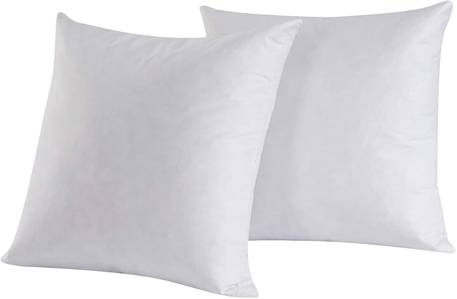 HOMESJUN Set of 2, Feather and Down Square Decorative Throw Pillow Insert, 100percent Cotton,Whit... | Amazon (US)