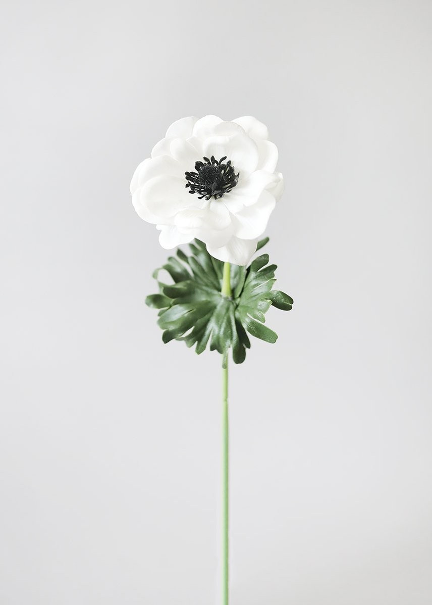 Real Touch White Anemone Flower with Black Center - 14" | Afloral (US)