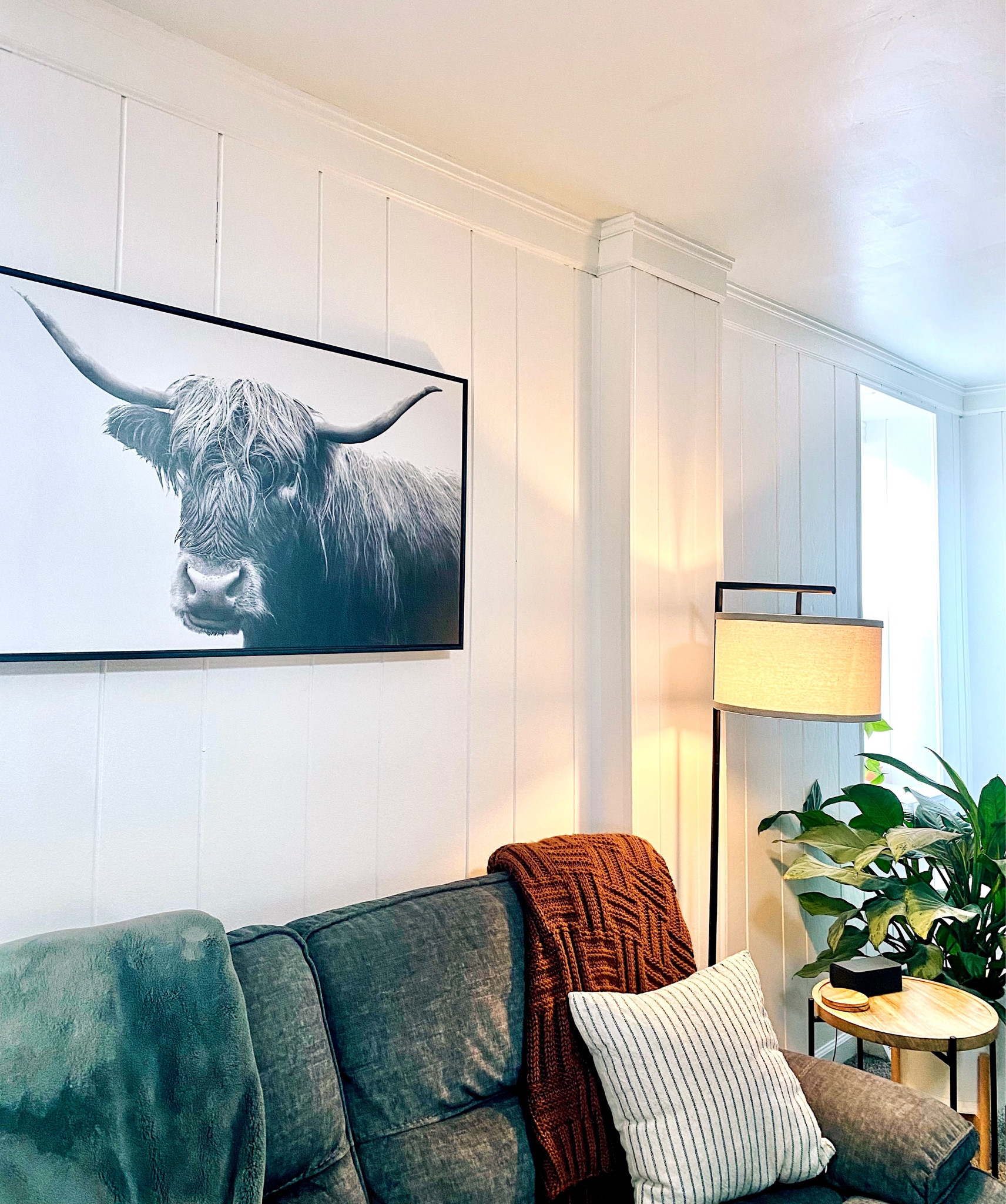 Every living room should have a Highland cow. Amiright?!

#LTKhome #LTKstyletip #LTKFind