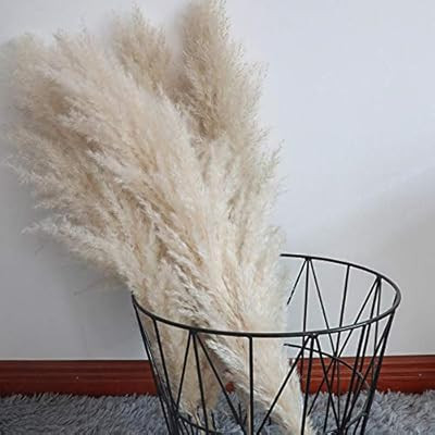 Pampas grass, naturally dried - plans wedding flower bunch for home decorations from wedding tren... | Amazon (UK)