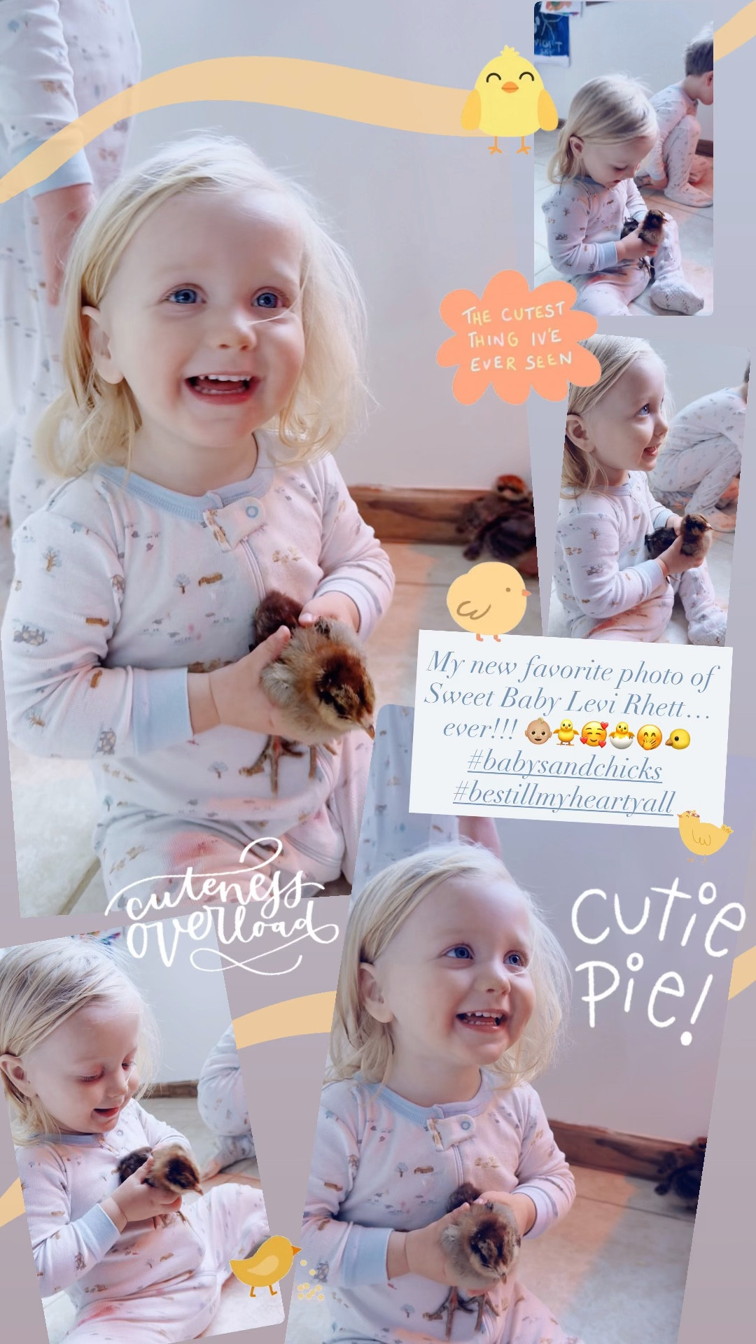 My new favorite photo of Sweet Baby Levi Rhett… ever!!! 👶🏼🐥🥰🐣🤭🐤 #babysandchicks #bestillmyheartyall 