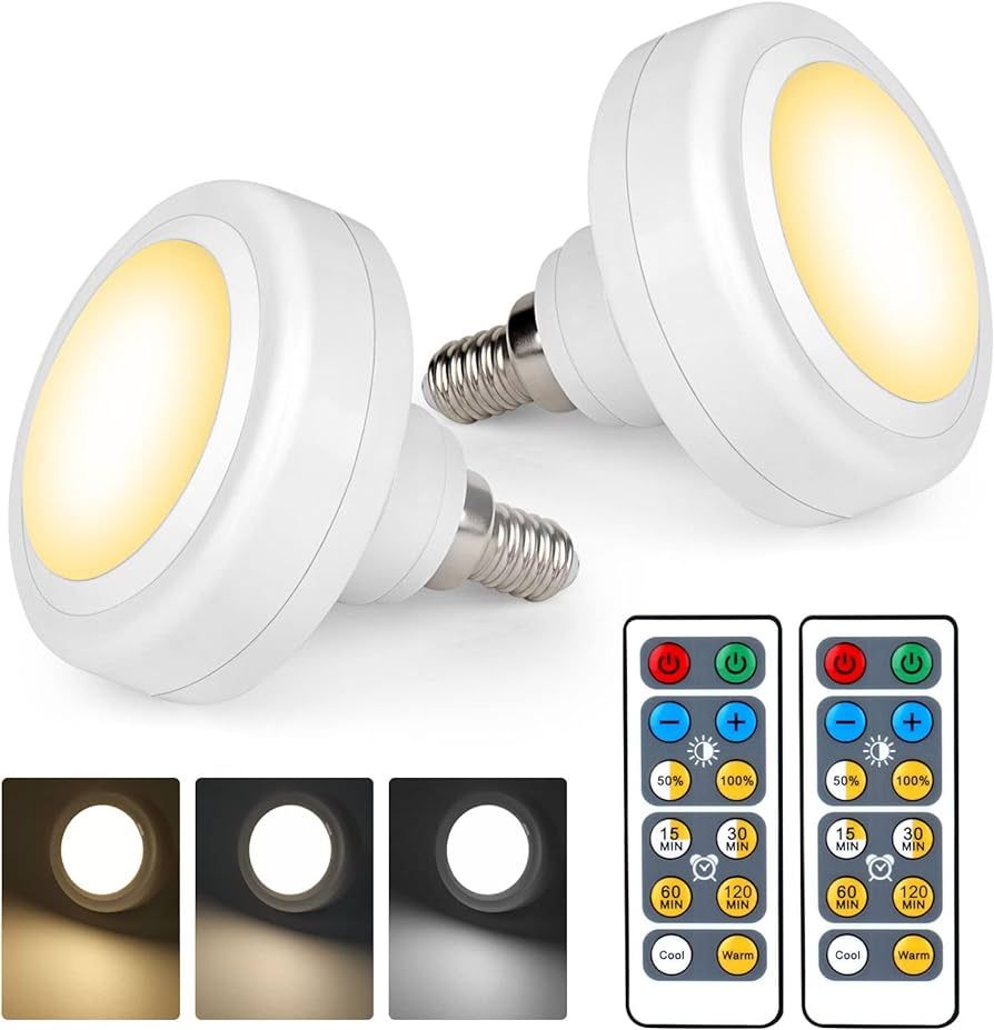 MILDWARM E12 Base Battery Operated Light Bulb, 2 Pack AAA Battery Powered LED Bulbs with Remote, ... | Amazon (US)
