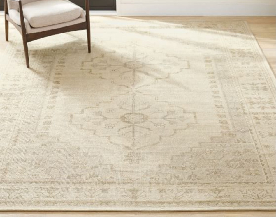 Pottery Barn Black Friday Sale Rug Finds🤍 Up to 50% OFF

#sale #blackfriday #cyberweek #home #decor #rugs

#LTKsalealert #LTKCyberweek #LTKhome