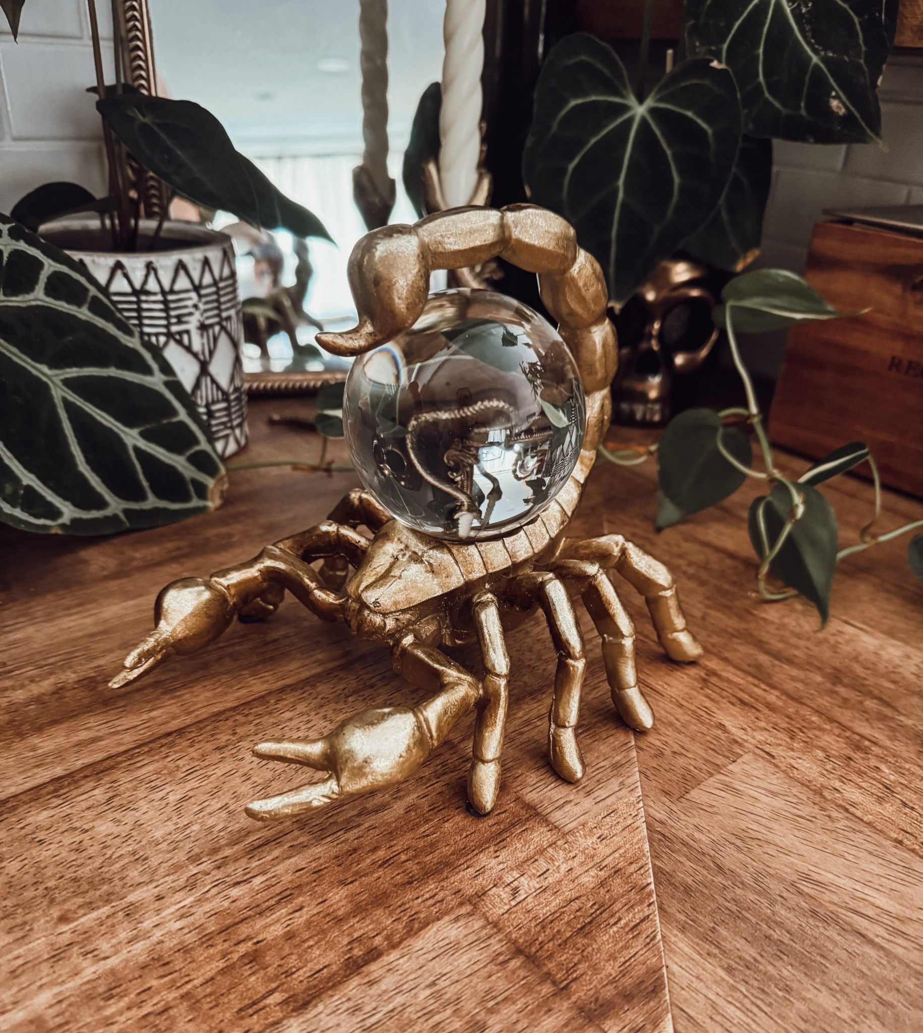 Spooky season, but make it elegant 🦂🎃👻


#LTKHome #LTKFallSale #LTKSeasonal