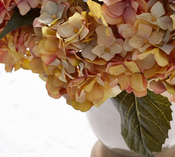 Faux Lace Hydrangea Bundle | Pottery Barn (US)