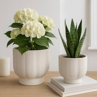 6 in. and 8 in. White Ceramic Scallop Shaped Decorative Planters (Set of 2) | The Home Depot