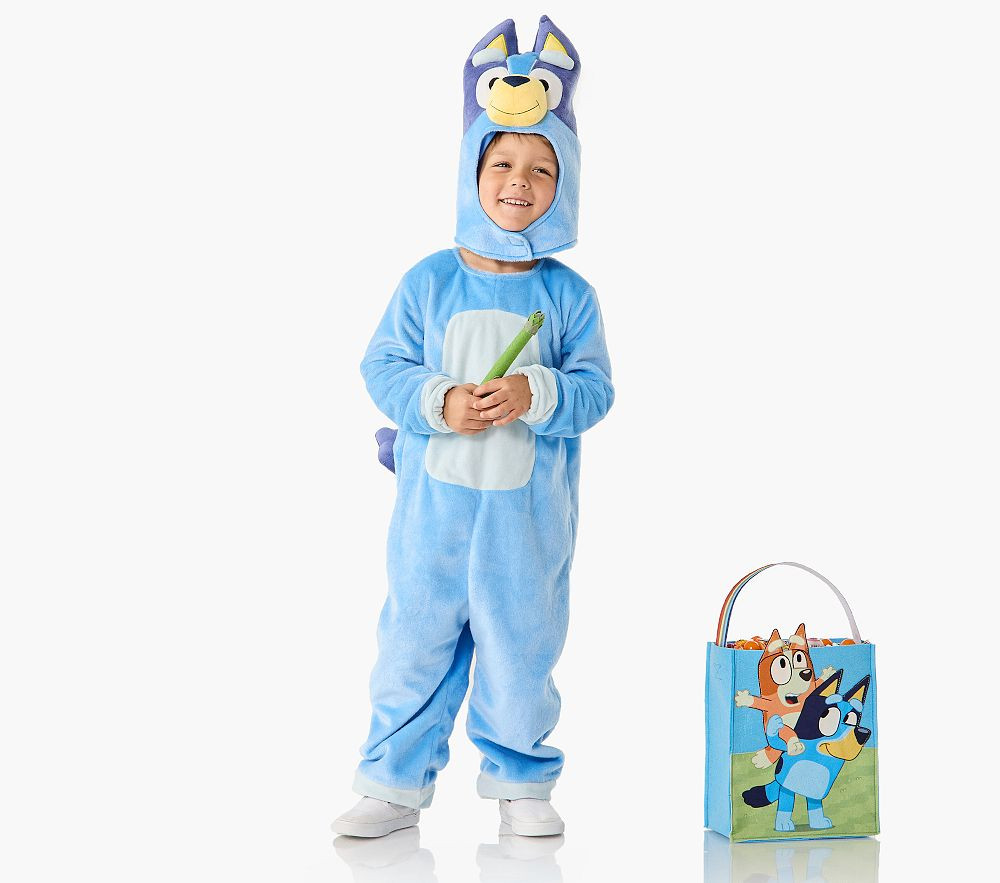 <i>Bluey</i> Costume | Pottery Barn Kids