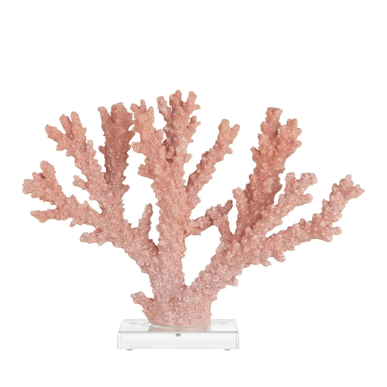 Fire Coral | Cailini Coastal