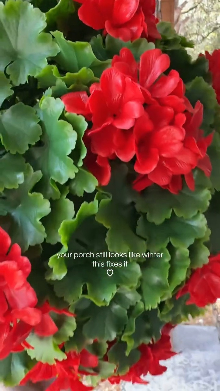 If your porch still feels a little empty after winter, this is the easiest fix 🌿 The Wicker Park 15” Indoor/Outdoor Faux Floral Spring Sphere in Red Geranium gives you that full, lush, freshly-planted look without the upkeep — no watering, no dropping petals, just instant color that makes your entry feel styled and intentional in seconds.

#LTKhome #OutdoorDecor #FrontPorchRefresh 

#LTKHome