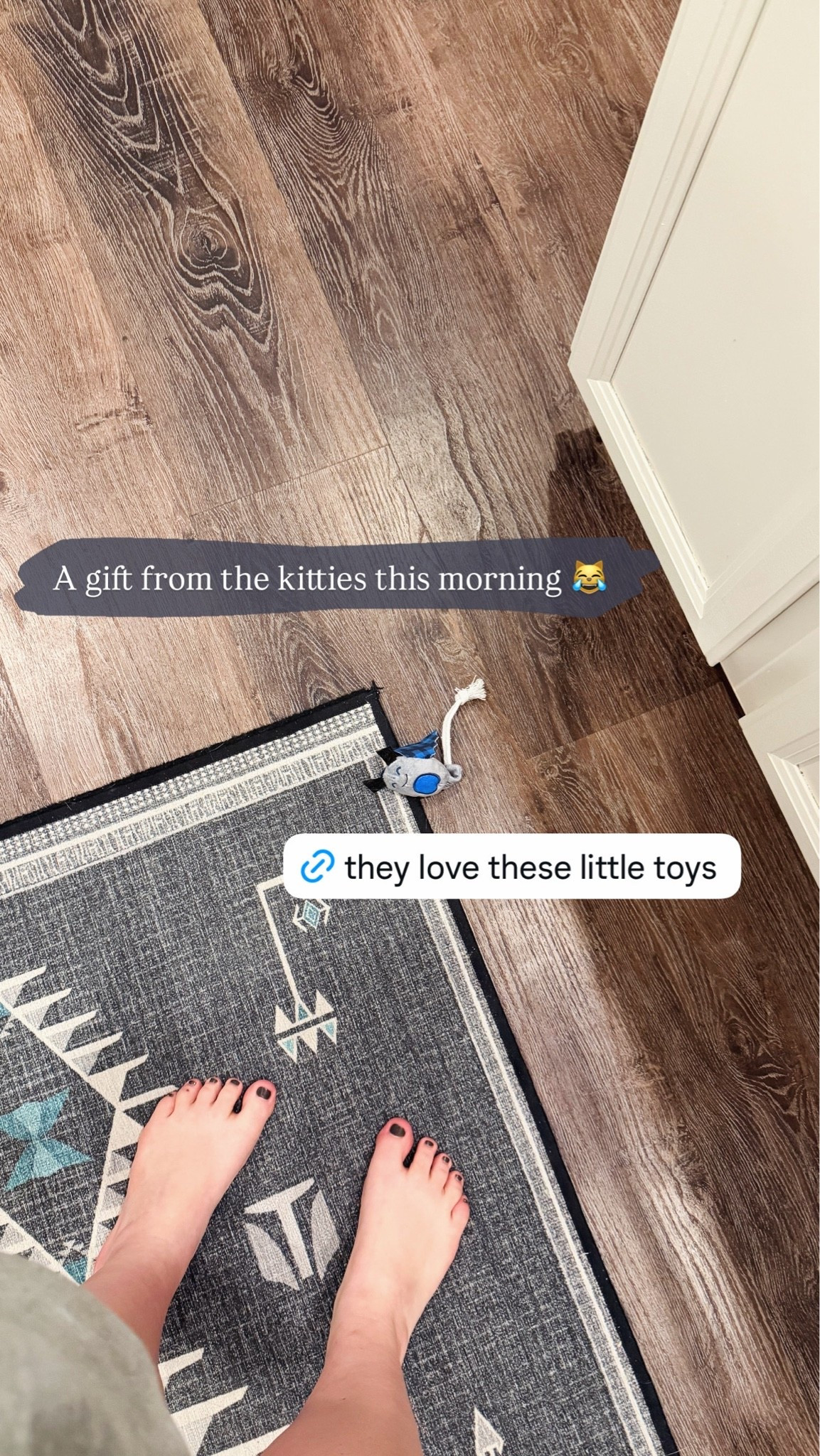 My cats love these little Halloween catnip toys! They’re the perfect size for them to carry around. They’ve played with them all year 🐾💚

#LTKmorningroutine #LTKstorytime #LTKSeasonal