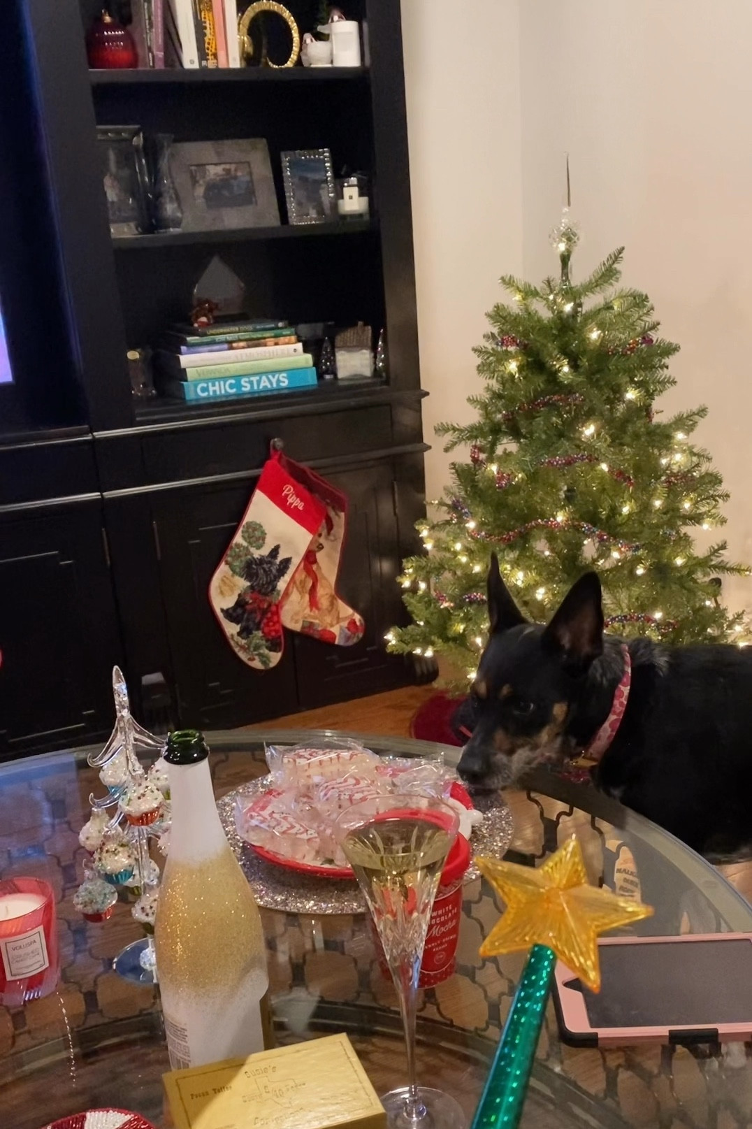 🌟✨ It’s timeeee 🎅🎄

#LTKHoliday #LTKSeasonal #LTKHome