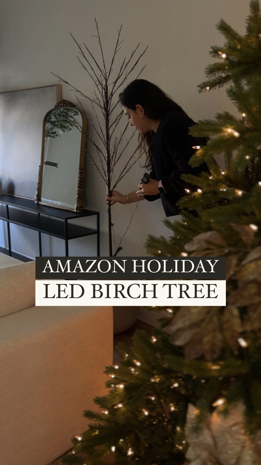 LITBLOOM Lighted Brown Willow Branches 30IN 100 LED with Timer Battery  Operated, Tree Branch with Warm White Lights for Holiday Christmas  Decoration