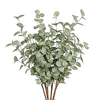 12 Pcs 27" Eucalyptus Stems Greenery Stems Eucalyptus Leaf Spray in Green Silk Plastic Plants Flo... | Amazon (US)