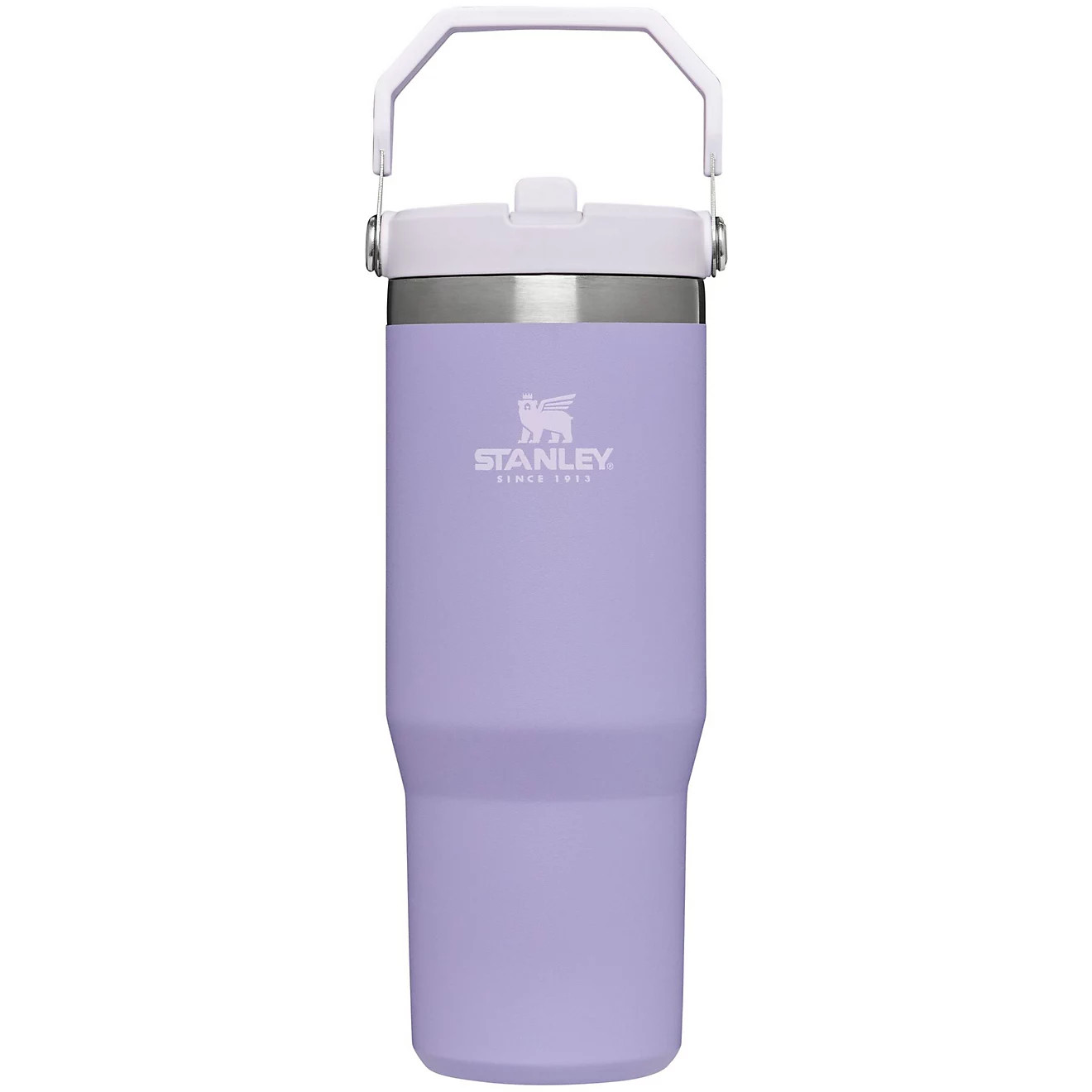 Stanley The IceFlow 30 oz Classic Flip Straw Tumbler | Academy | Academy Sports + Outdoors