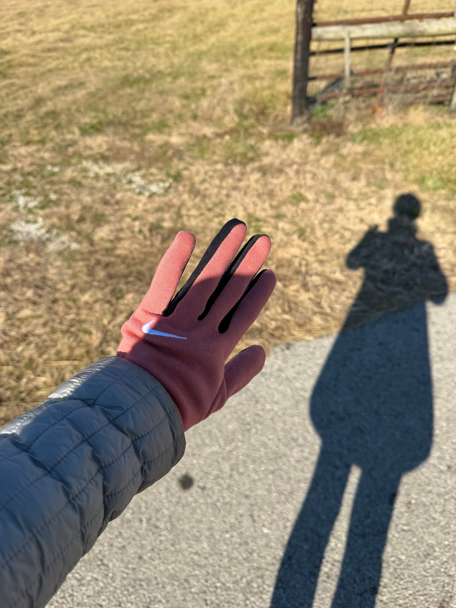 My favorite winter running gloves! 

#LTKActive #LTKfitnessgoals #LTKSeasonal