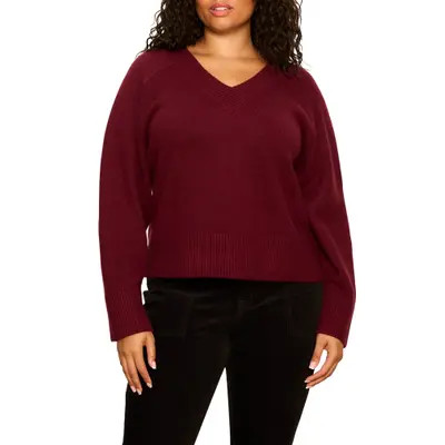 Sanctuary Vanna V-Neck Sweater in Bordeaux at Nordstrom, Size 1X | Nordstrom