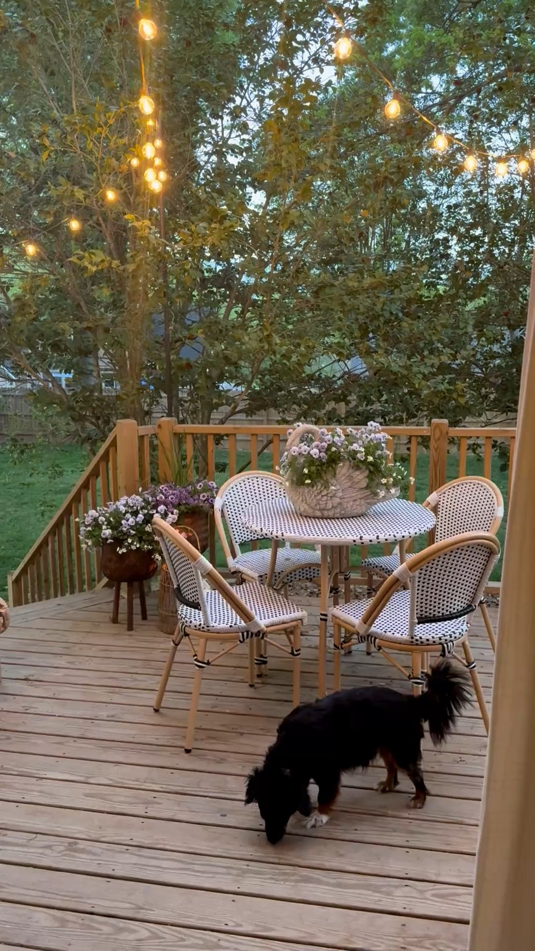 Spring Evening...

#LTKSeasonal #LTKSaleAlert #LTKHome