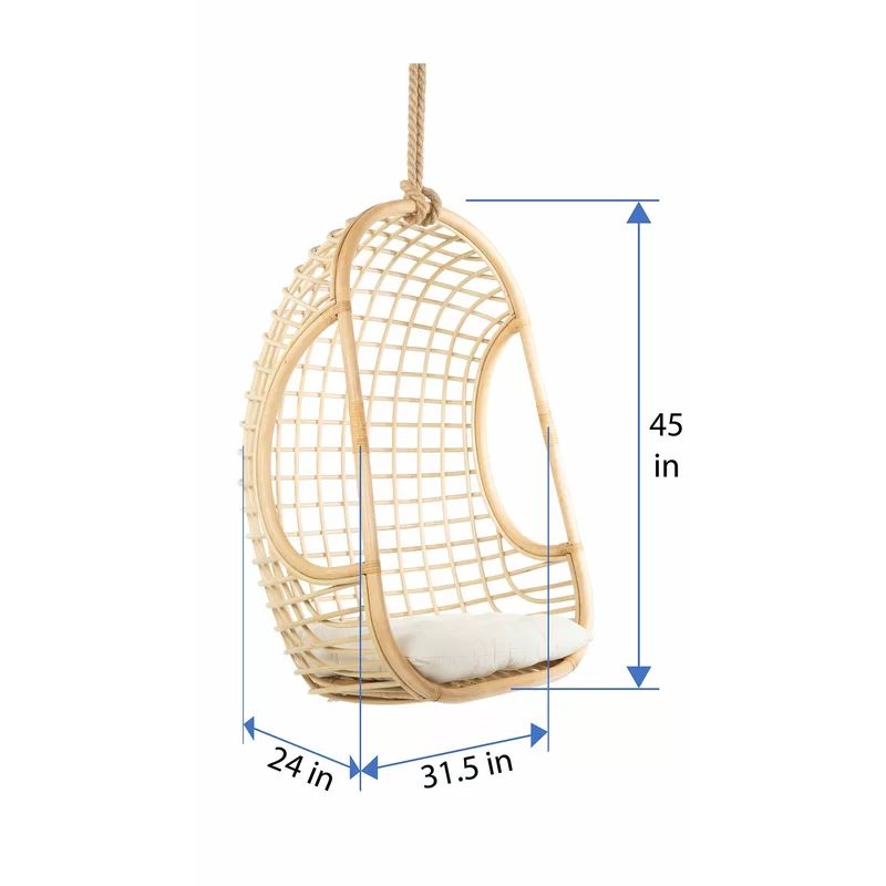 Gaige Grid Rattan Swing Chair | Wayfair North America