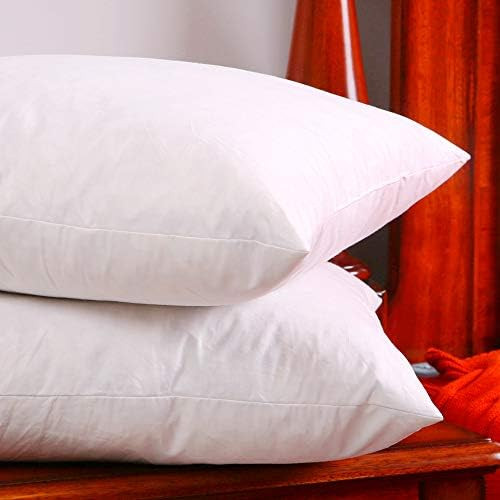 DOWNIGHT Pack of 1 Decorative Throw Pillow Inserts, Cotton Fabric, 28 x 28 Inches Down and Feathe... | Amazon (US)
