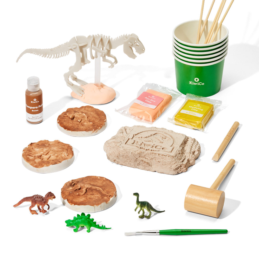 Paleontologist Starter Kit | KiwiCo | KiwiCo