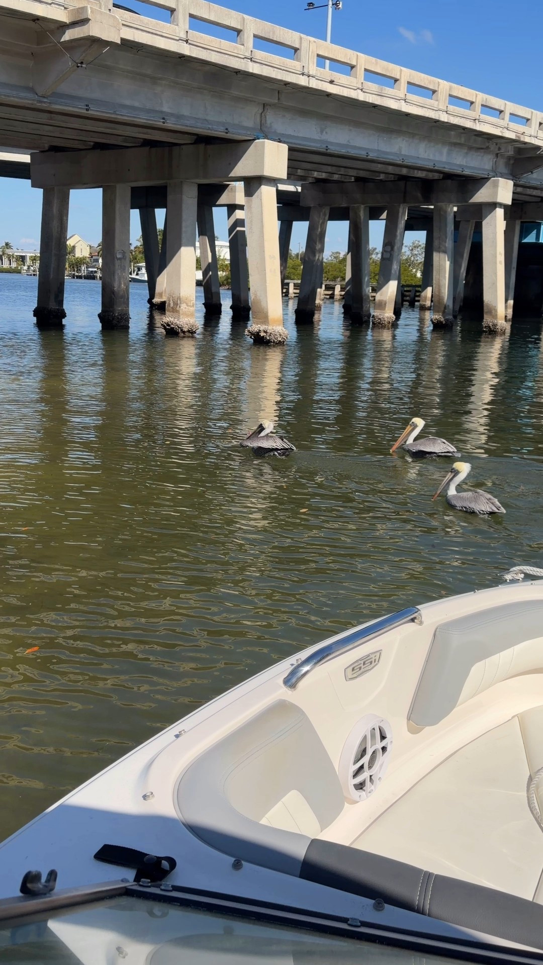 Holiday boat days = memories captured perfectly 🌊✨
Floating under the winter sun, filming every wave and pelican moment with DJI Osmo Pocket 3, Drone Flip, & DJI Mini Mics 🎥🐦
If your winter getaway dreams include sun, sea, and salty hair, make sure your gear is ready to capture it all. 💙

Psst my drone is on Black Friday sale!!

Where’s your dream holiday escape?


#LTKTravel #LTKCyberWeek #LTKSaleAlert