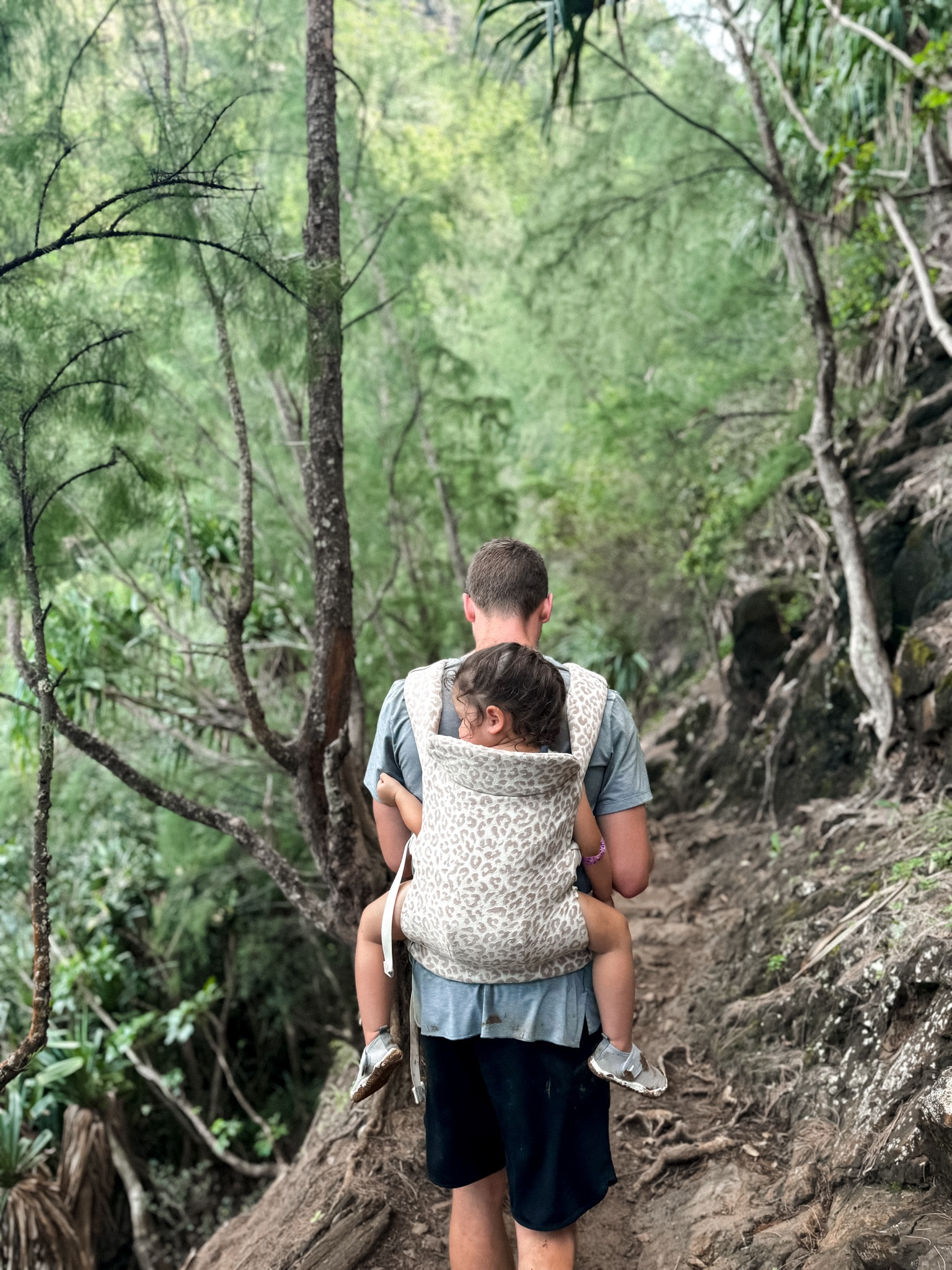 Best back and front carrier. 7-45lbs. Super comfortable and versatile! Can carry our infant and toddler.

#LTKfamily #LTKkids #LTKbaby