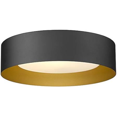 Bargeni Flush Mount Ceiling Light,12.5 inch LED Ceiling Light Fixture,Matte Black with Gold Insid... | Amazon (US)