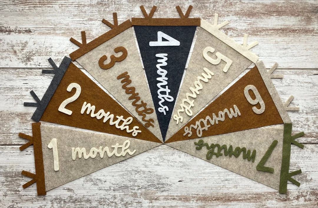 Baby Milestones Pennant Newborn Photo Prop First Year - Etsy | Etsy (US)