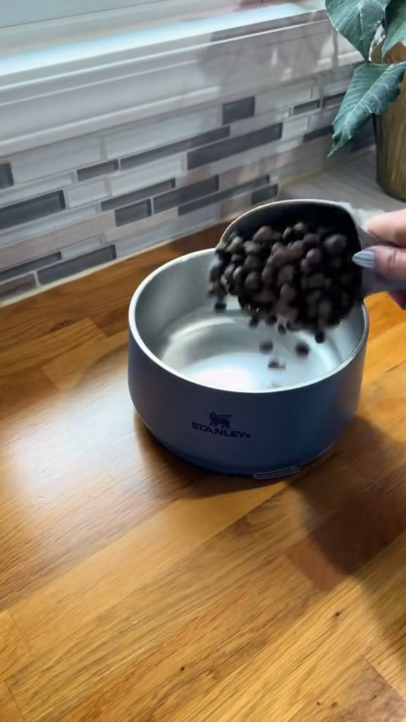 Breakfast for a high energy doggo!

Archie is a 3 yr old GSP, who can be quite picky about his food sometimes, so this is the perfect combo to keep him satisfied! 

#LTKvlog #LTKmorningroutine #LTKfoodie