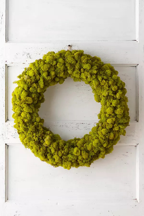 Reindeer Moss Wreath | Anthropologie (US)