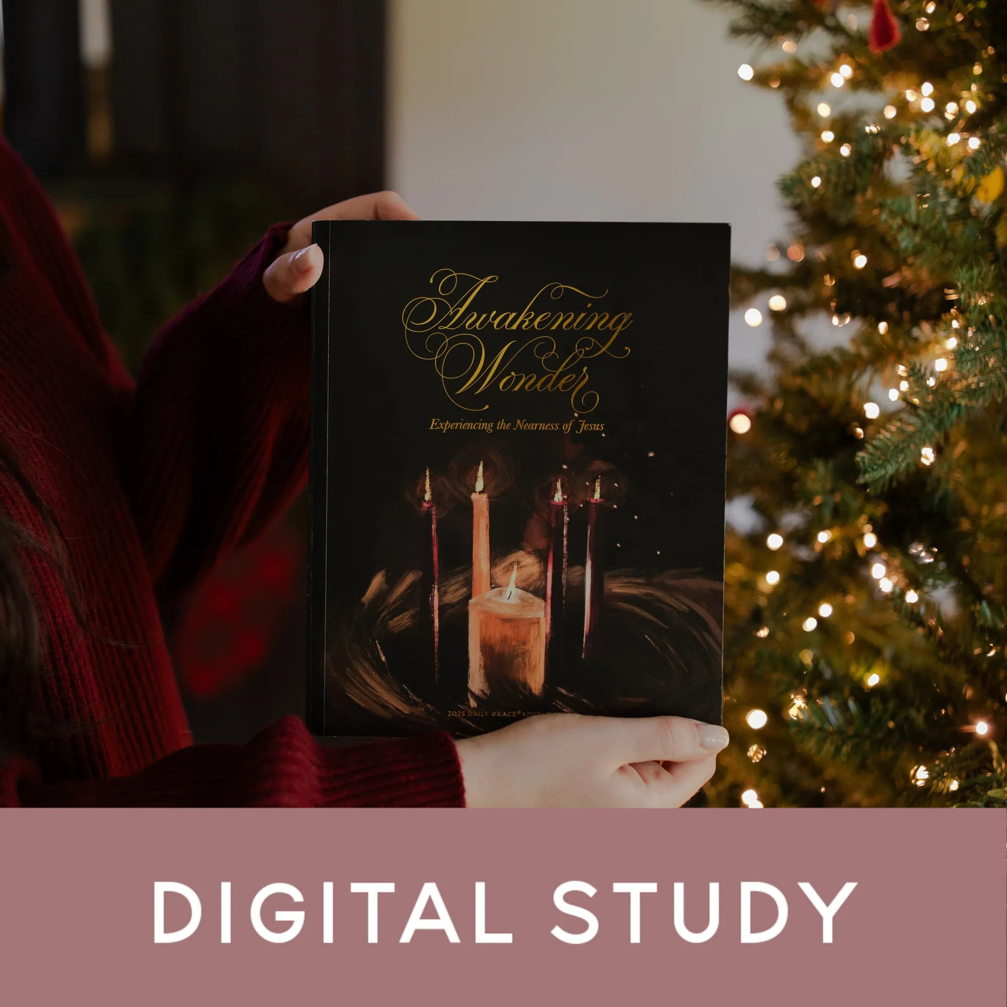 Awakening Wonder | Advent Digital Study | The Daily Grace Co.