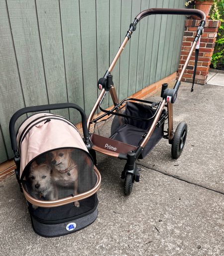 HPZ PetRover Prime 3 in 1 pet stroller - the carriage doubles as a carrier and car seat - dog stroller - favorite pet products - Amazon Pets - Amazon Finds 

#LTKfamily #LTKhome #LTKSeasonal