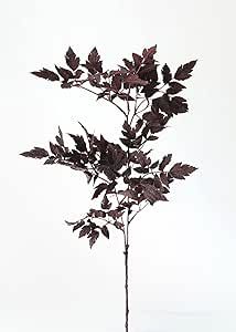 Plum Purple Fake Cimicifuga Ramosa Fall Leaves - 31" - Wedding, Event and Home Decor | Amazon (US)