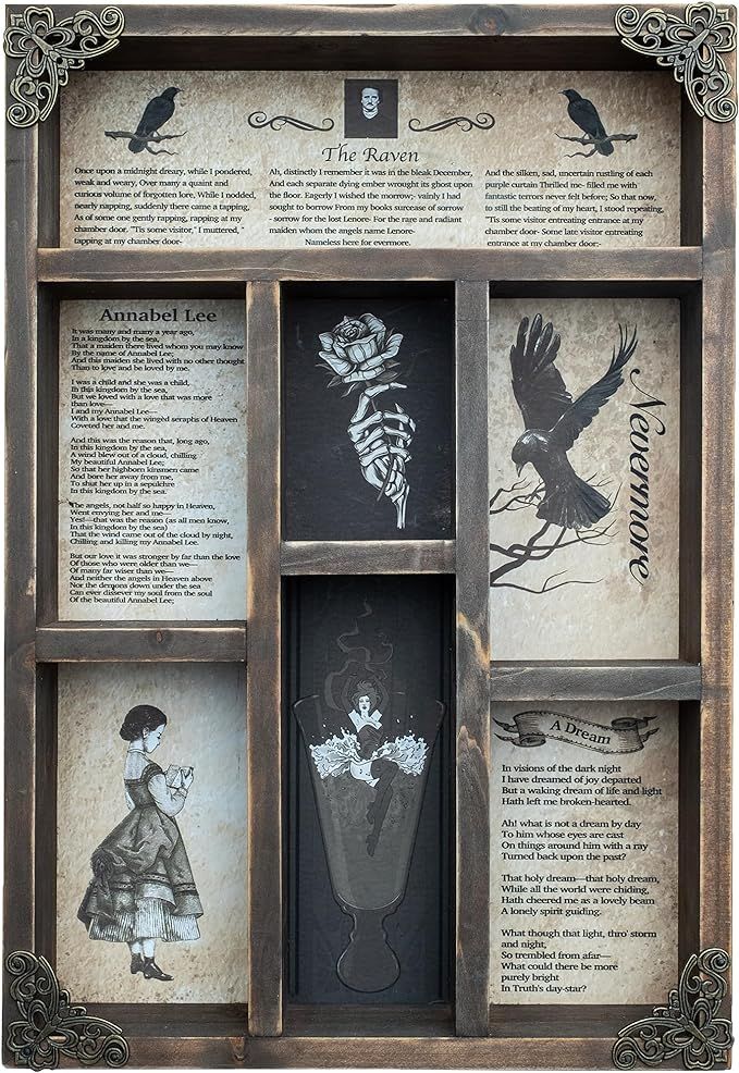 INSOVITA Rustic Edgar Allan Poe Poems Cabinet of Curiosities,Victorian Gothic Decor for Shelves, ... | Amazon (US)