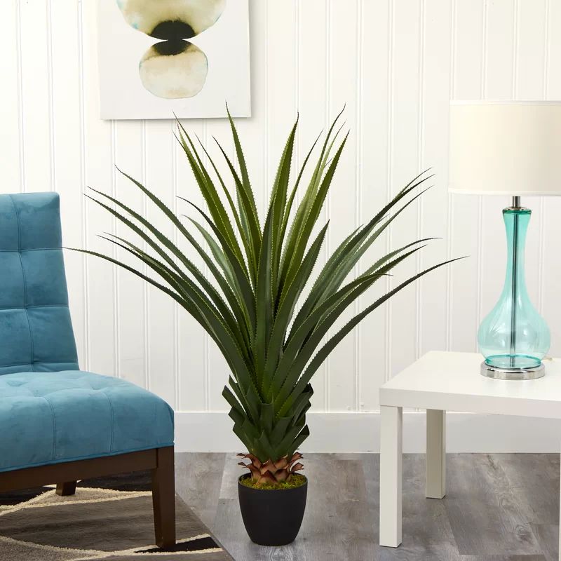 Spiked Agave Floor Plant in Pot | Wayfair North America
