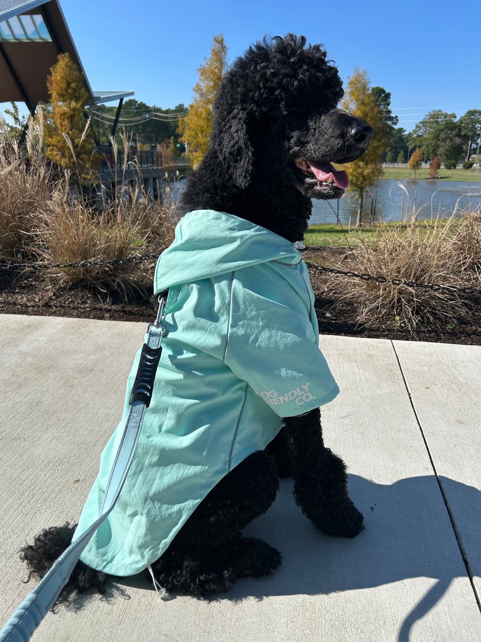 Perfect accessories for your pup 
Dog Friendly Co has the BEST anti pull leash/ harness and now this super cute rain coat 

15% off LARISADF

#LTKHome #LTKTravel #LTKdayinmylife