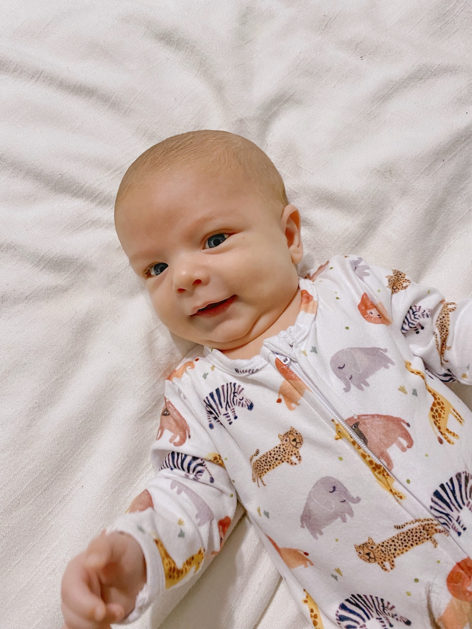 Some of our fav Caden lane jammies!! We actually own each of these and love these prints♥️ 

#LTKkids #LTKbaby #LTKMostLoved