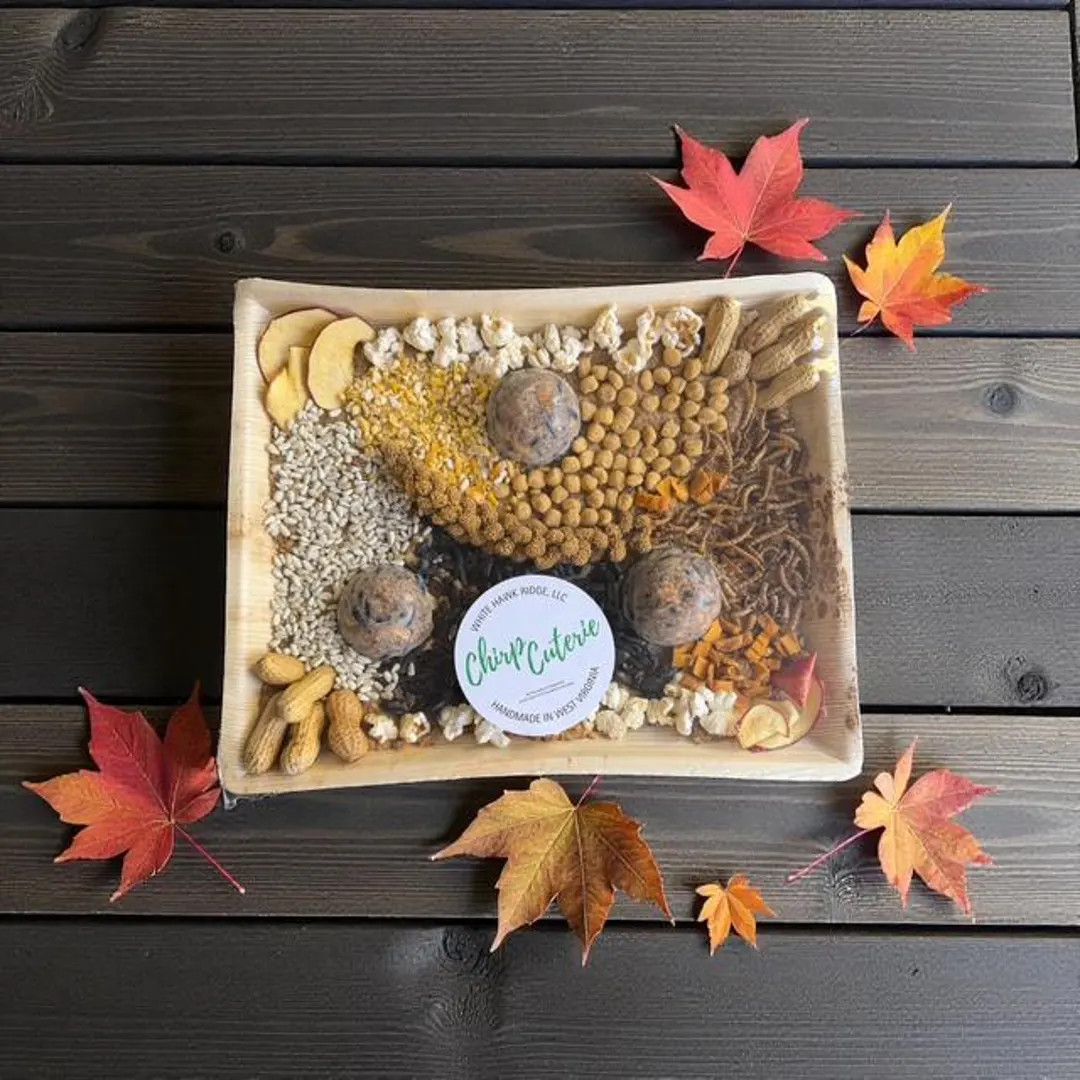 Chirpcuterie - A Beautifully Arranged Bamboo Tray Filled With a Curated Selection of Snacks Birds... | Etsy (US)
