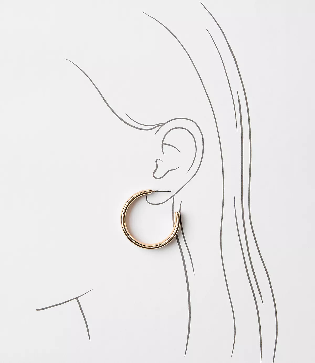 Sculpted Hoop Earrings | LOFT
