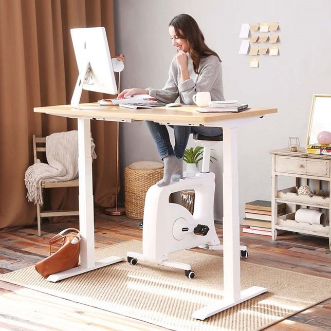 Electric Height Adjustable Standing Desk: Dual Motor Economical Option EC3/EC4 | FlexiSpot | FlexiSpot