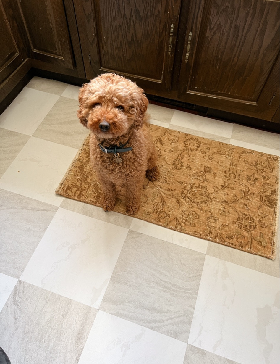 For an easy kitchen floor update at the cabin we used these peel and stick vinyl tiles 

#LTKHome