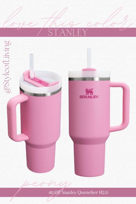 Stanley quencher flowstate stainless steel vacuum insulated tumbler with lid and straw for water, iced tea or coffee. Color is peony! Mother’s Day gift ideas! #giftsforher #giftguides

#LTKActive #LTKGiftGuide #LTKfindsunder50