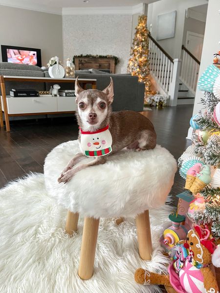 The cutest pet bib!

Dog bandana, Christmas, dog clothes 

#LTKSeasonal #LTKfamily #LTKHoliday