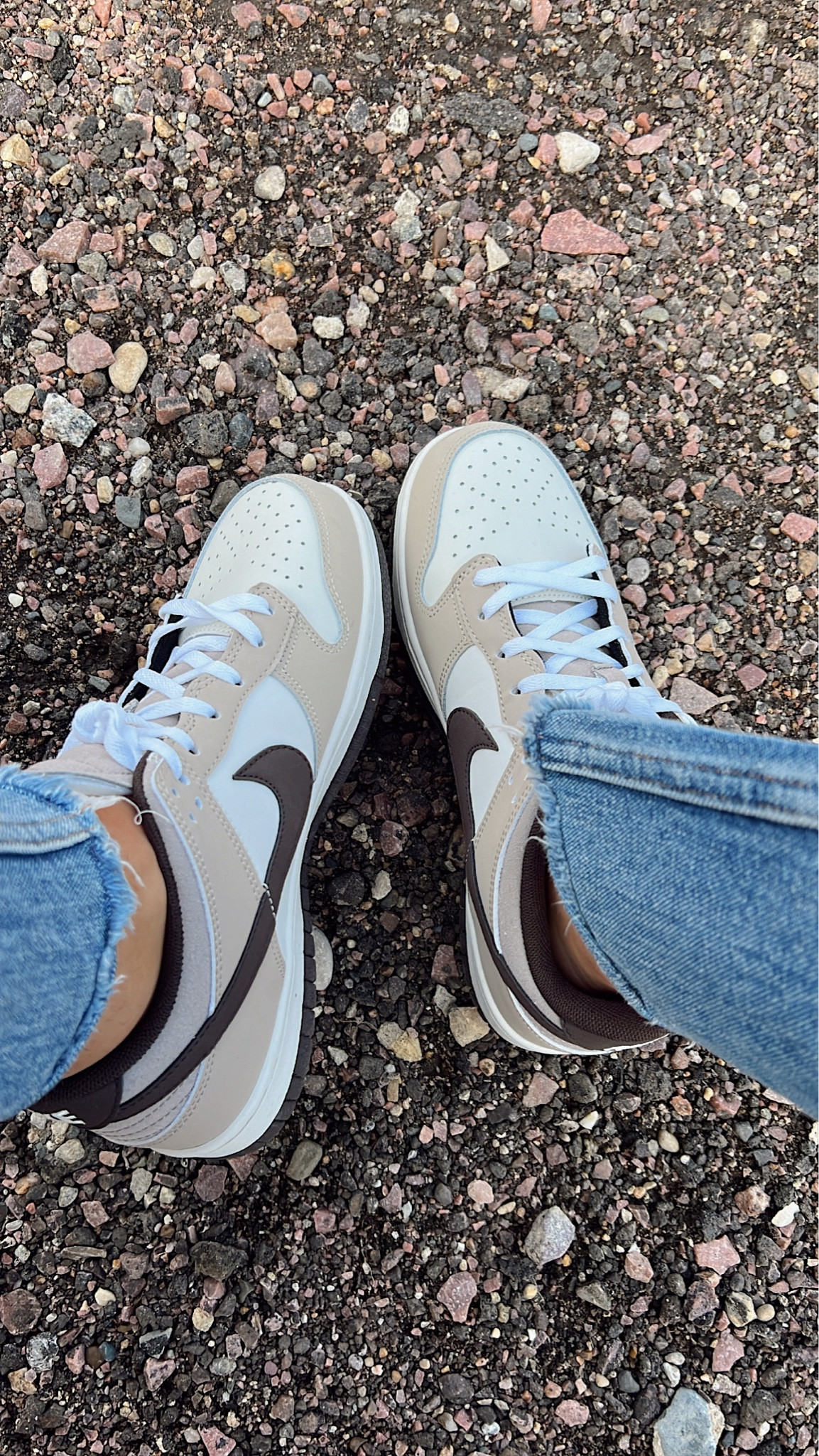 the perfect Nike dunk for fall 🍂

#LTKshoecrush #LTKGiftGuide #LTKstyletip