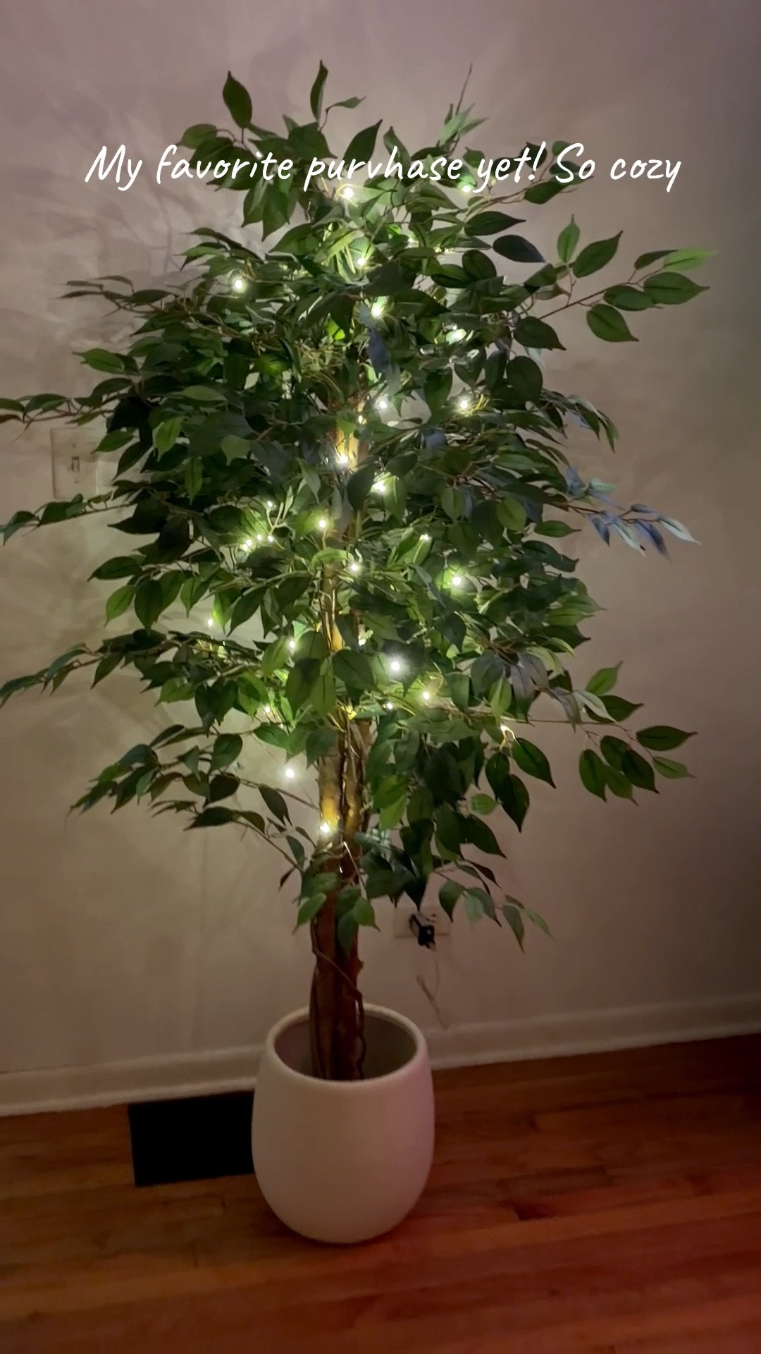 Decor, faux tree, light tree, instore tree, lights on tree, tree Ficus,Artificial Trees with 3 Natural Curved Trunks, 74" Tall Lush, Faux Tree for Home Decor Indoor, Green Lifelike Fake Ficus Tree Artificial Plants, home items , gift ideas for her, gift ideas, homey items, low price items for home, home items , pretty tree,

#LTKHome #LTKSeasonal #LTKdayinmylife