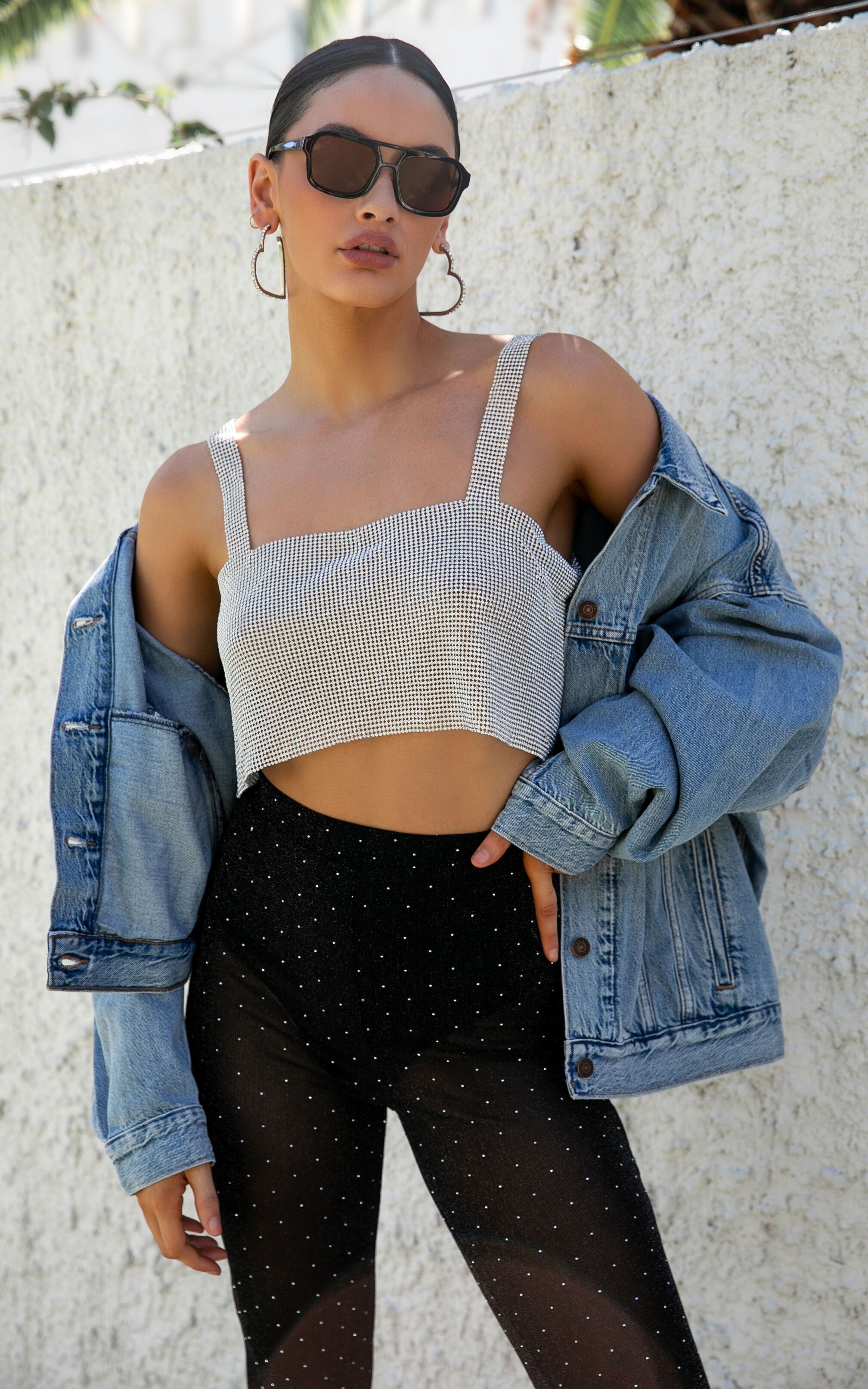 Starry Nights Mesh Cropped Top in Silver | Showpo (US, UK & Europe)
