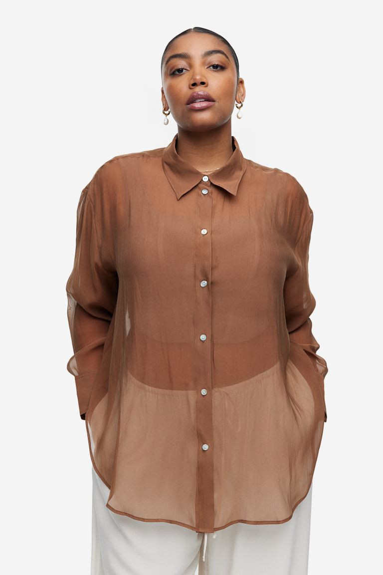 Sheer Blouse | H&M (US + CA)